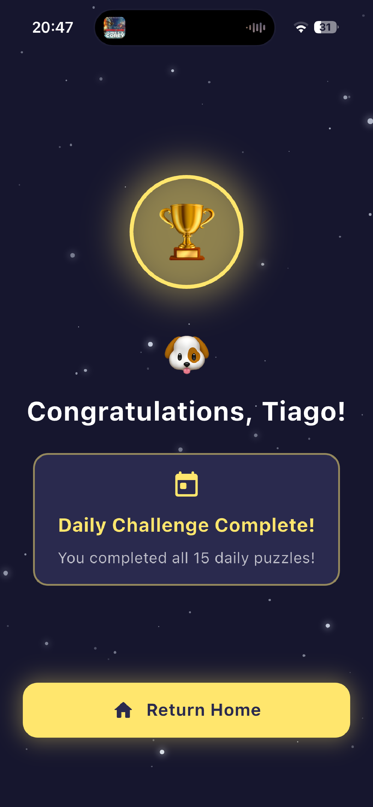 Hexagonal Puzzles screenshot 13
